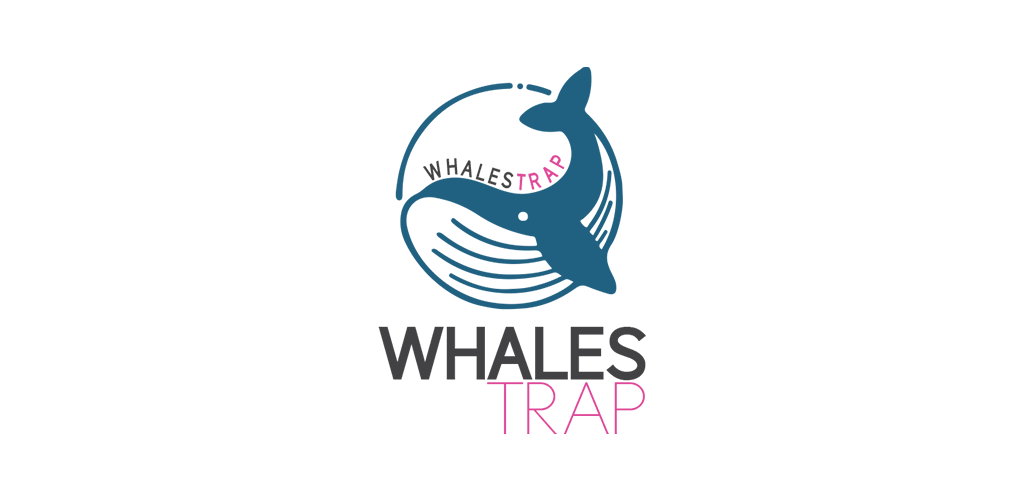 MOATAZ ELDESOUKI PORTFOLIO